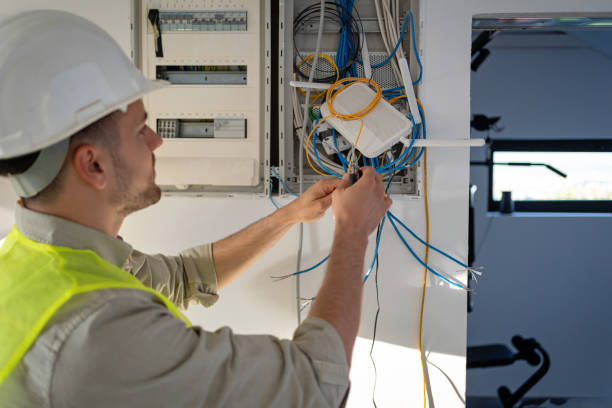 Best Electric Panel Repair  in Griggsvle, IL